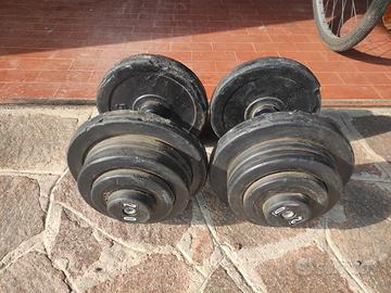 coppia manubri 20kg