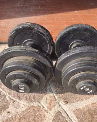 coppia manubri 20kg