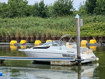 Wellcraft 23SE con Volvo Penta D3-200 piede DP-S