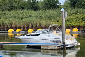 Wellcraft 23SE con Volvo Penta D3-200 piede DP-S