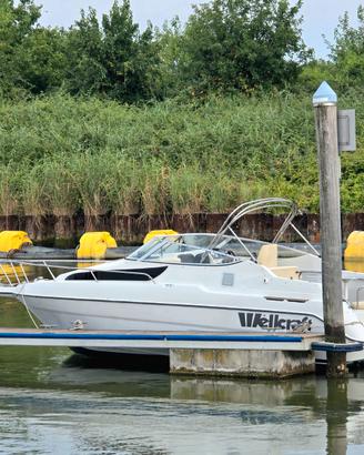 Wellcraft 23SE con Volvo Penta D3-200 piede DP-S