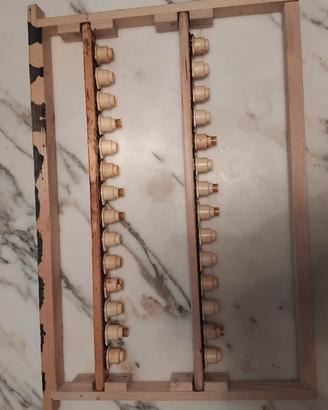 telaini per api regine