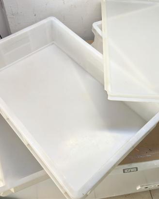 4 pz Cassetta bacinella contenitore alimenti porta