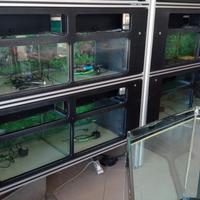 espositore per pesci tropicali