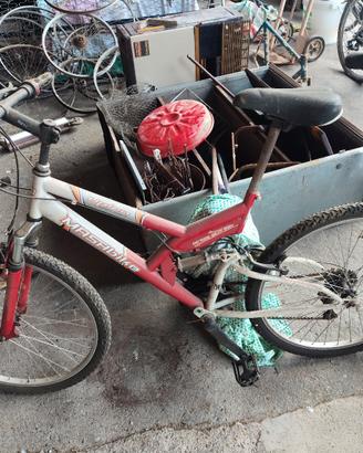 MTB ammortizzata 