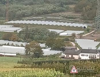  AZIENDA AGRICOLA CON CASA E MAGAZZINI