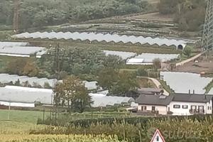  AZIENDA AGRICOLA CON CASA E MAGAZZINI