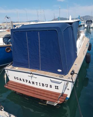 imbarcazione d'epoca Chris - Craft  Catalina 28