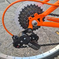 Bicicletta Torpado Earth 26" misura 38