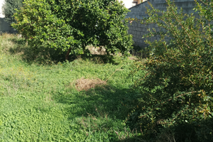 Indipendente con giardino su quattro lati