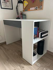 Scrivania 100x50