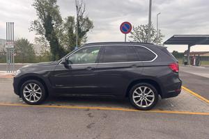 Bmw X5 xdrive25d Luxury 231cv