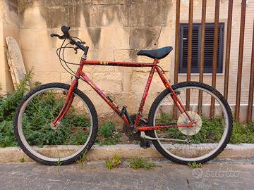 MOUNTAIN BIKE