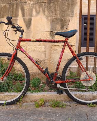 MOUNTAIN BIKE