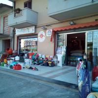 Attivita commerciale