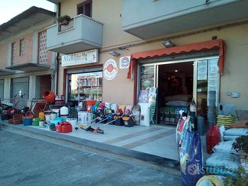 Attivita commerciale