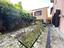Immagine 9