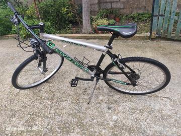 bicicletta 26 pollici 