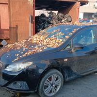 Ricambi usati Seat Ibiza anno 2009