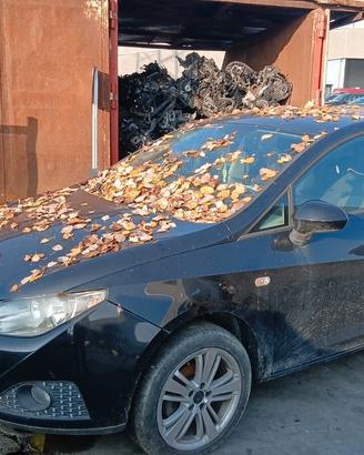 Ricambi usati Seat Ibiza anno 2009