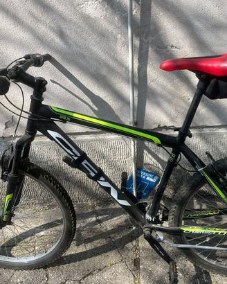MTB carnielli