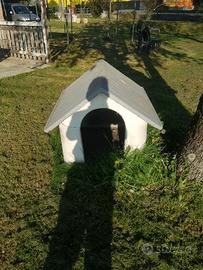 casette per cani