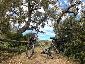E-City bike