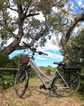 E-City bike