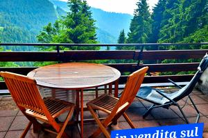 grande Monolocale Monte Pora