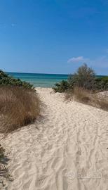 Lido Pizzo sole spiaggia cultura Relax 4/6 posti