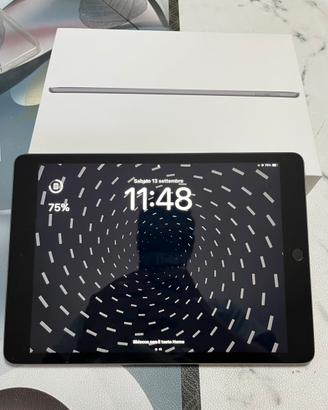 iPad 9a generazione