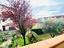 Immagine 15