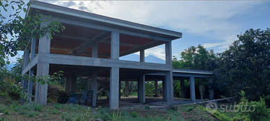 Capannone con annesso largo terreno