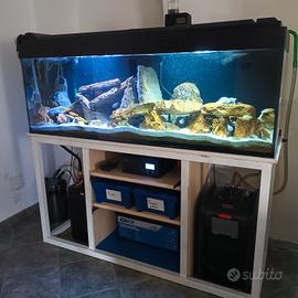 Acquario 430 lt 