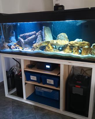 Acquario 430 lt 