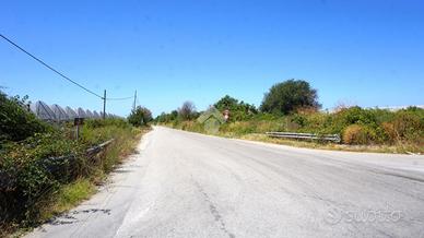 TER. AGRICOLO A BATTIPAGLIA
