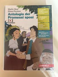 Libro Antologia Dei Promessi Sposi - Volume Unico