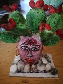 Testa di moro femmina. 