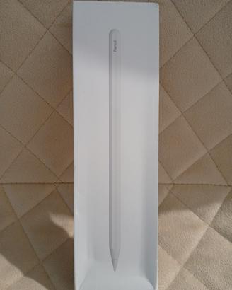 penna per iPad dal 2018 al 2023 ricarica magnetica