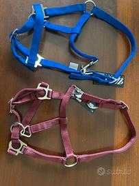 Cavezze per Mini 00 Shetland, nuovissime !