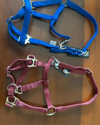 Cavezze per Mini 00 Shetland, nuovissime !