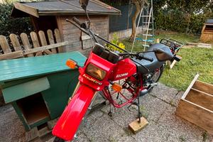 Plastiche kanguro 350