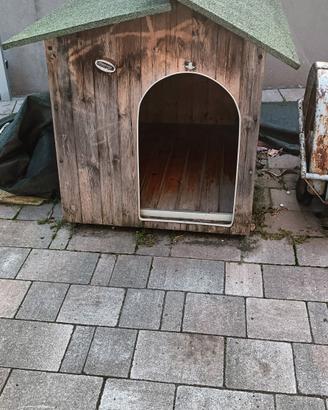 cuccia cane