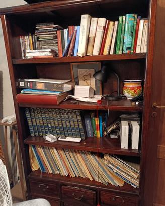 credenza libreria portatv