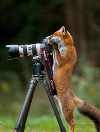  Fotocamere/Videocamere Digitali: