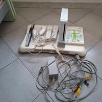 Nintendo Wii