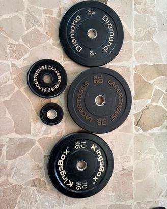 Dischi bumper Lacertosus Diamond kingsbox 