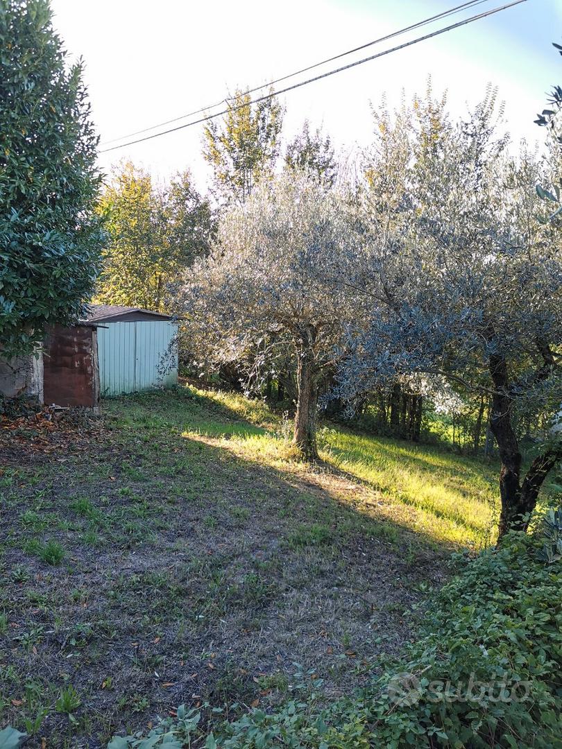 Terreno agricolo con uliveto - View 3