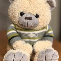 GIOCATTOLI GIOCHI PELUCHE ORSACCHIOTTO (PERFETTO)