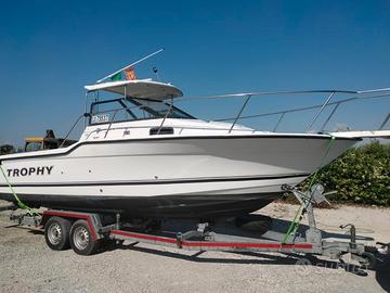 Baylaner trophy mercruiser 250 CV alpha One 2024